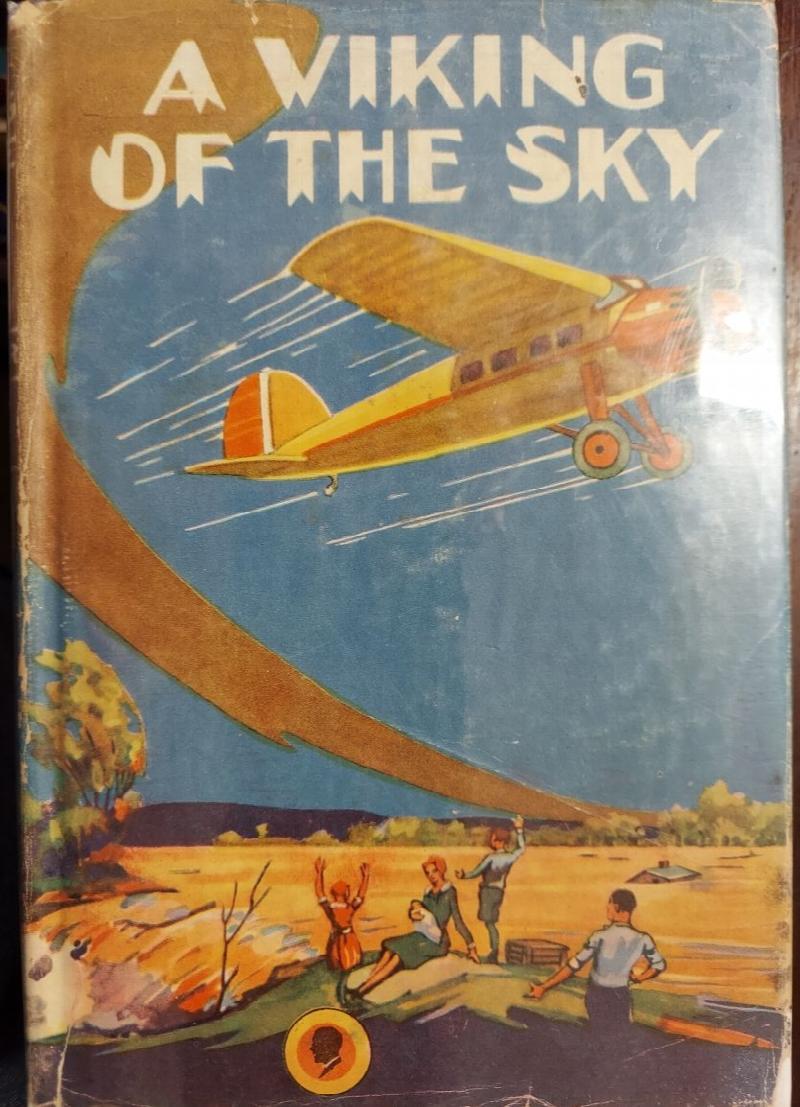 Image for A Viking of the Sky (A Story of a Boy Who Gained Success in Aeronautics)