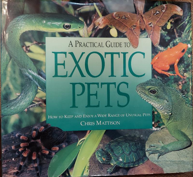 Image for A Practical Guide to Exotic Pets: How to Keep and Enjoy a Wide Range of Unusual Pets