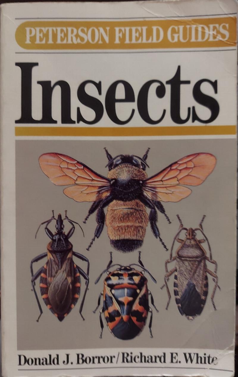 Image for A Field Guide to Insects of America North of Mexico (Peterson Field Guide Series, No. 19)