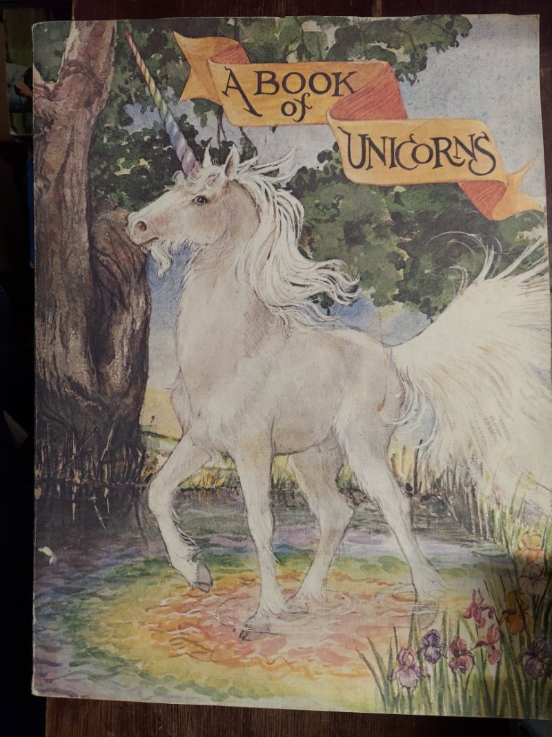 Image for A Book of Unicorns  (A Star and Elephant Book)