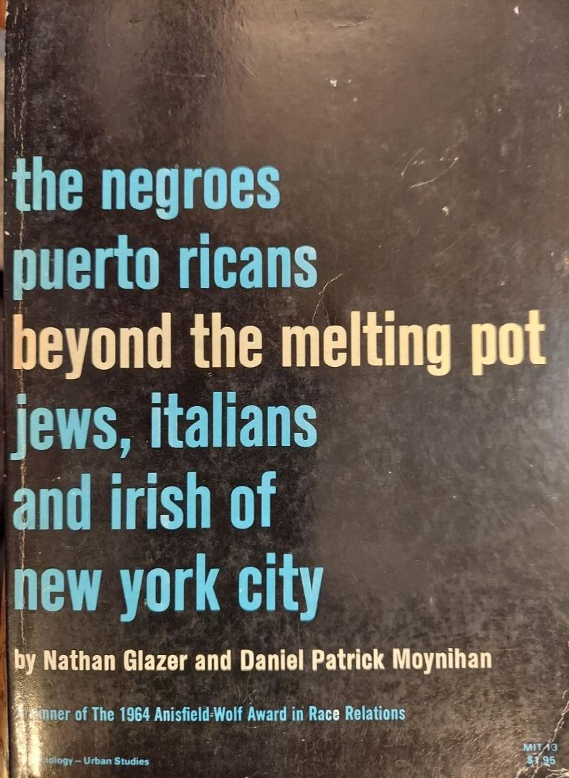 Image for Beyond the Melting Pot : The Negroes, Puerto Ricans, Jews, Italians, and Irish of New York City
