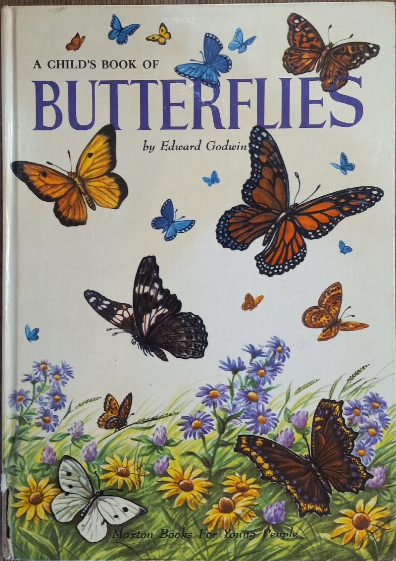 Image for A Child's Book of Butterflies