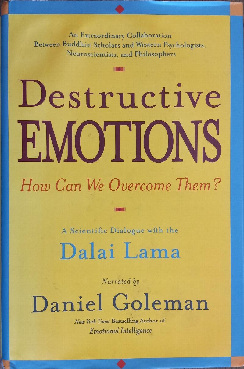 Image for Destructive Emotions: How Can We Overcome Them? A Scientific Dialogue with the Dalai Lama