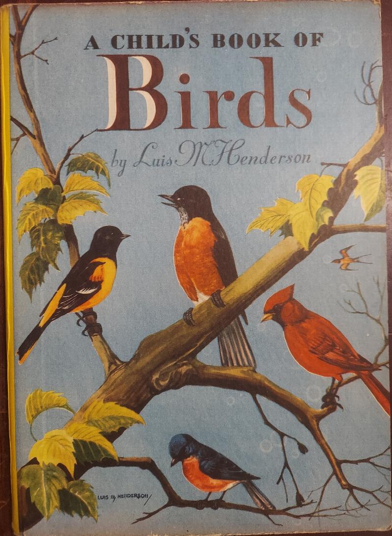 Image for A Child's Book of Birds